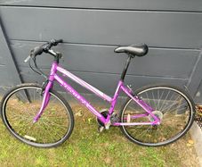 Ventura Adult Bike