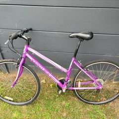 Ventura Adult Bike