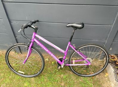 Ventura Adult Bike