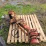 ZF APL 2052 international front axle Image 4
