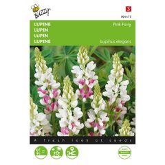 (L) Buzzy Lupin seeds Pink Fairy 2g (044734)
