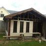 Douglas fir Image 7