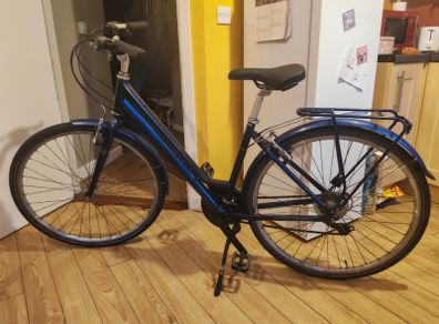 Raleigh Ladies Bicycle