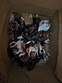 collection of horses from schieich