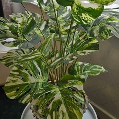 Artificial monstera