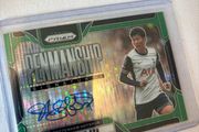 panini auto