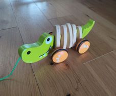 Baby pulling crocodile