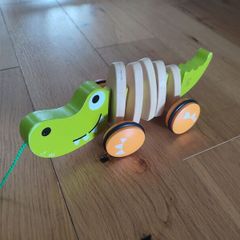 Baby pulling crocodile