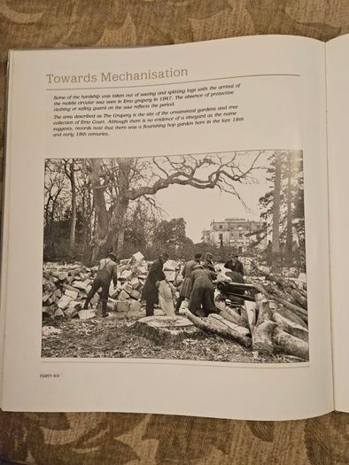 Forest Images. Fr Browne's Woodland Photographs From Emo Court Co Laois. Fabolous FIRST EDITION Large Volume Hardback In Good Condition.  See Photos For Same.