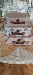 storage cases