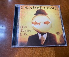 Counting Crows This Desert Life CD