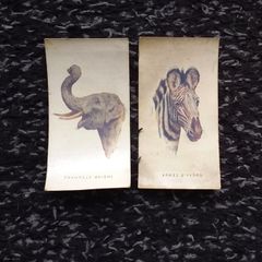 John Player and Sons Cigarette Transfer Card - Wild Animals Heads Series -