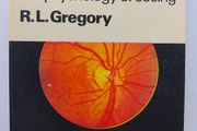 Eye And Brain