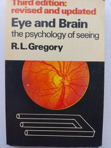 Eye And Brain