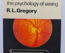 Eye And Brain