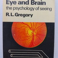 Eye And Brain