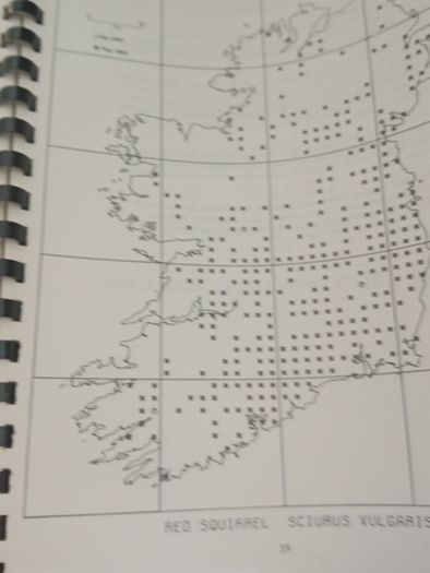Amphibian And Reptile  And Mammals Atlas In Ireland
