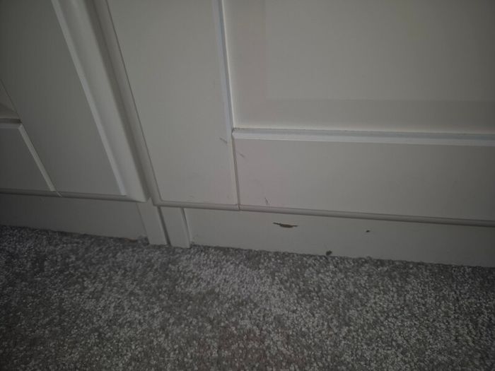 Ikea fitted wardrobes