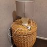 table lamp Image 4