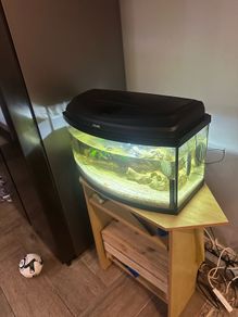60lt fish tank with loads of extras