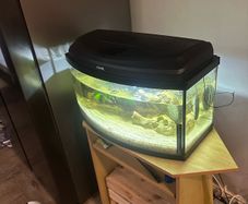 60lt fish tank with loads of extras