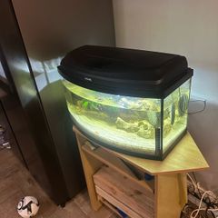 60lt fish tank with loads of extras