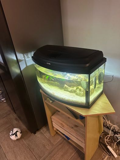 60lt fish tank with loads of extras