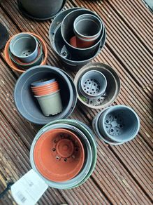 Free plastic plant pots