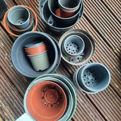 Free plastic plant pots
