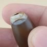 Vintage Yemeni Suliemani Natural Eye Agate Bead Amulet Image 10