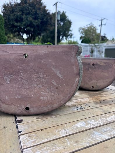 Wall planters