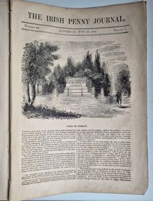 The Irish Penny Journal, 1840. First Edition Newspaper. Antique, old book.