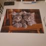 Puzzles bundle Image 8
