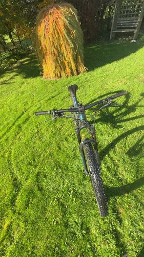 Trek Fuel ex 5