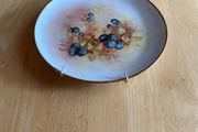 Plate with hanger