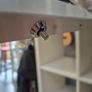 Secure ipad stands Image 6