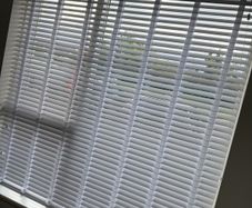 blinds