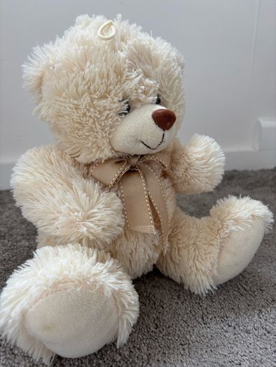 teddy bear
