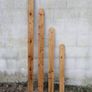 Fencing Image 3