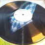 SOLD - WUBBLE-U - Petal - Indolent Records - Prog House / Breaks Image 5
