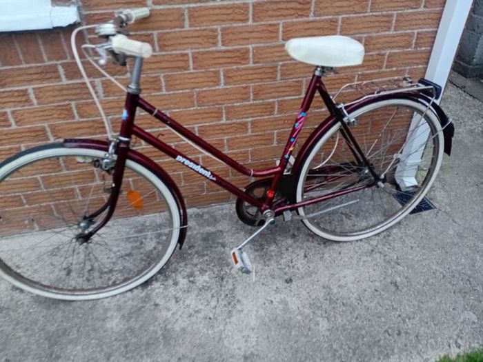 adults bike