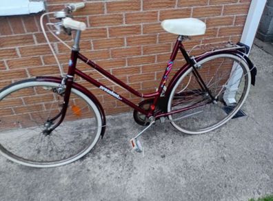 adults bike