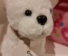 soft toy