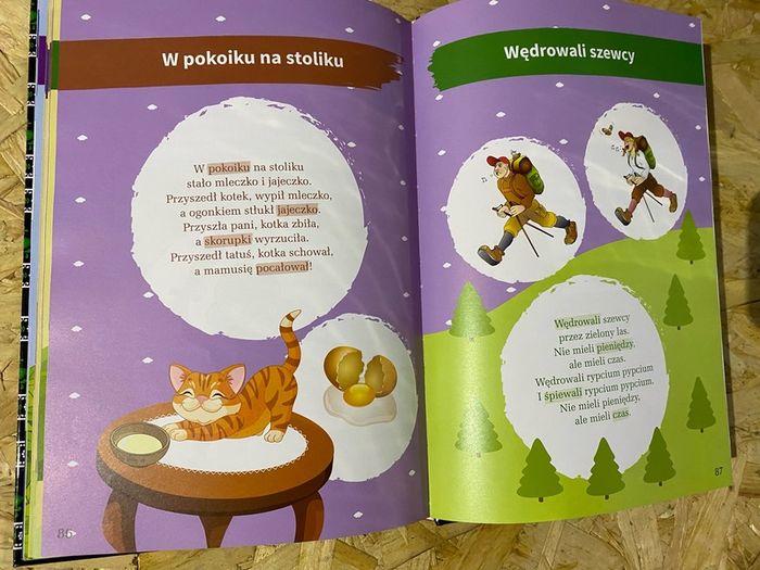 polish book
