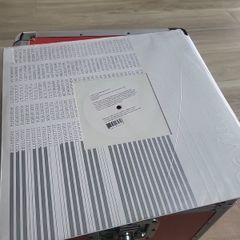 David Bowie Love is lost (Hello steve reich mix by james murphy for the Dfs) 12" 33rpm white vinyl