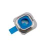 Back Camera Lens Frame Holder for Samsung Galaxy S6 GOLD-#114157 Image 2