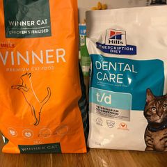Hill's t/d Dental 1.5kg (nearly full) + Red Mills Winner Sterilised 2kg cat food