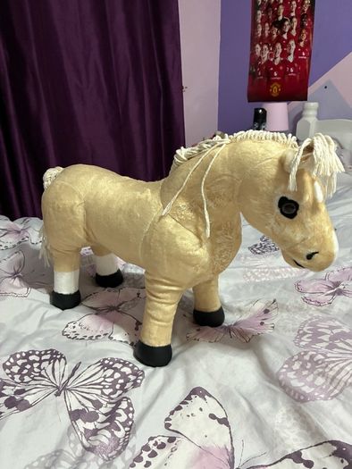 LeMiuex Toy Ponys