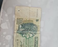 Coins and Notes