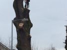 Johnson Tree Services Image 4